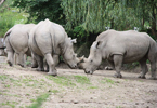 Zoo Salzburg