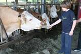 Kinderparadies im Ederhof in Teisendorf