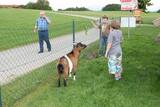 Kinderparadies im Ederhof in Teisendorf